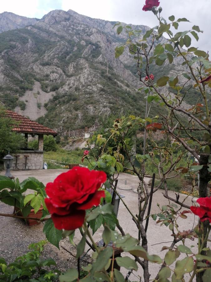Visit Dreznica Villa โมสตาร์ ภายนอก รูปภาพ